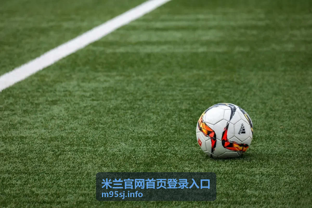 米兰官网首页登录入口文章封面图